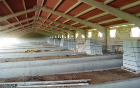 PIG FEEDLOT IN AGREDA, PROV. OF SORIA