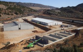 SWINE EXPLOITATION FOR POTATO PRODUCTION IN ALLOZA (TERUEL)