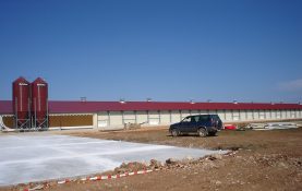 POULTRY FARMING OF HENS IN VILLARREAL DE HUERVA (ZARAGOZA)