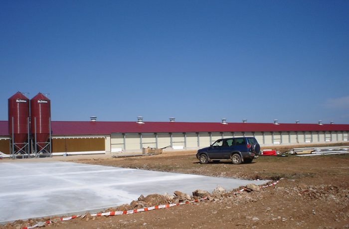 POULTRY FARMING OF HENS IN VILLARREAL DE HUERVA (ZARAGOZA)