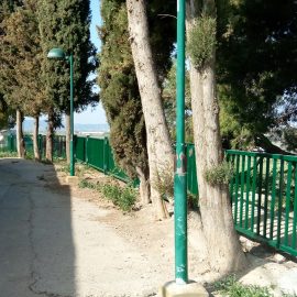 REHABILITATION OF FENCES AND FURNITURE SAN GREGORIO QUARRY OF EJEA