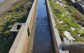 RECRECIDO DE ACEQUIA EN SANTACARA